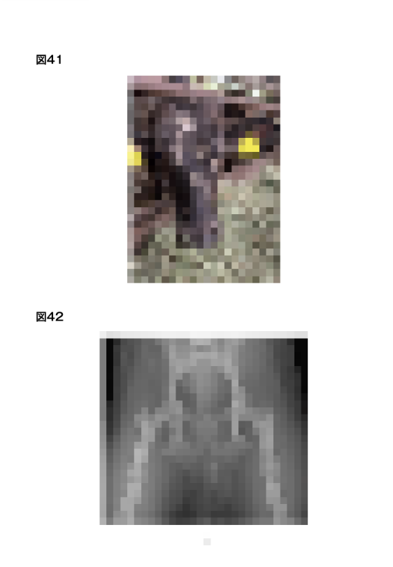 獣医師国家試験の画像冊子の例